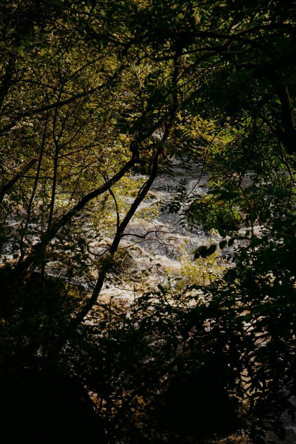 The Deerstone Luxury Eco Hideaway Villa Laragh Bagian luar foto