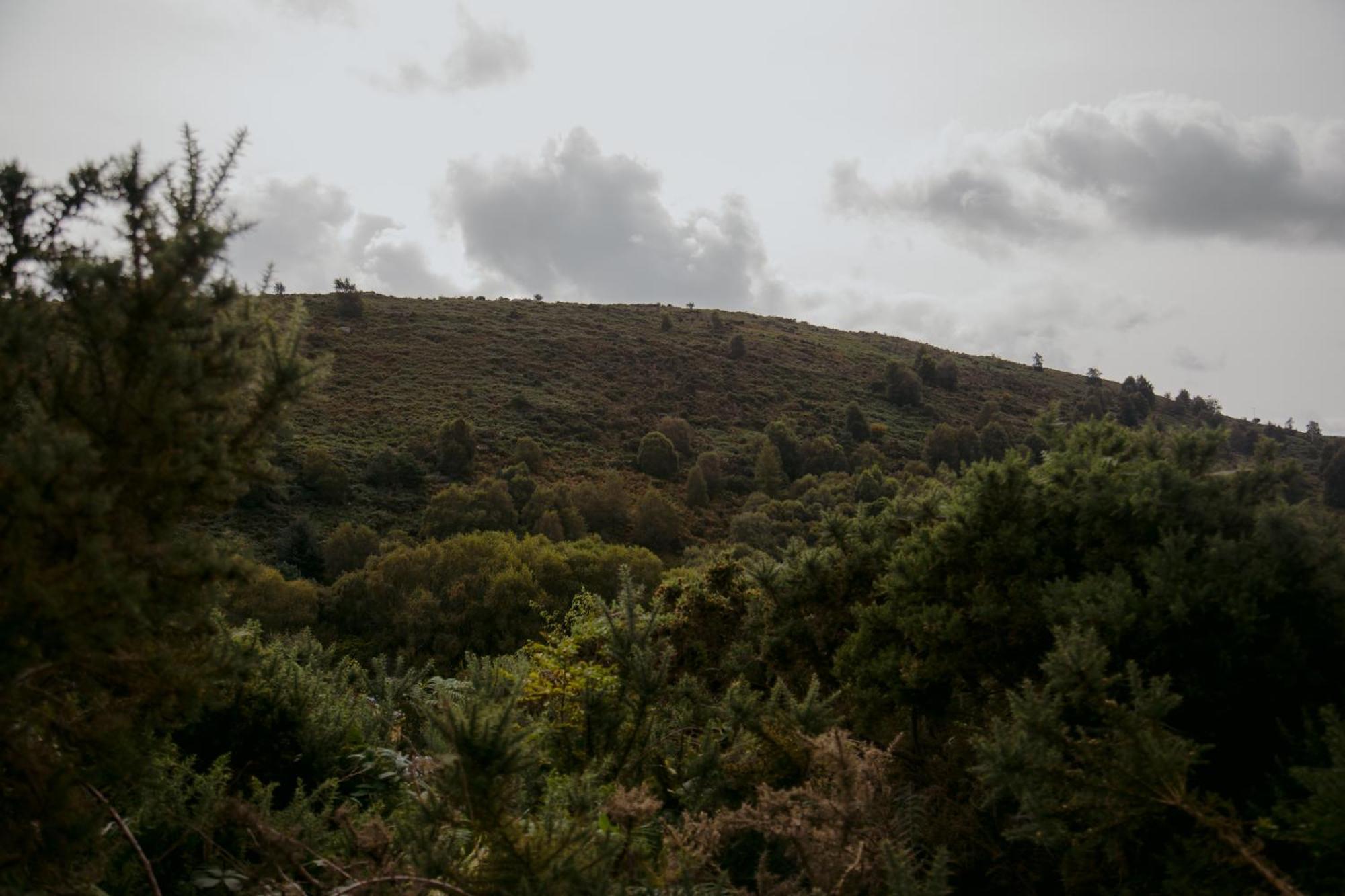 The Deerstone Luxury Eco Hideaway Villa Laragh Bagian luar foto