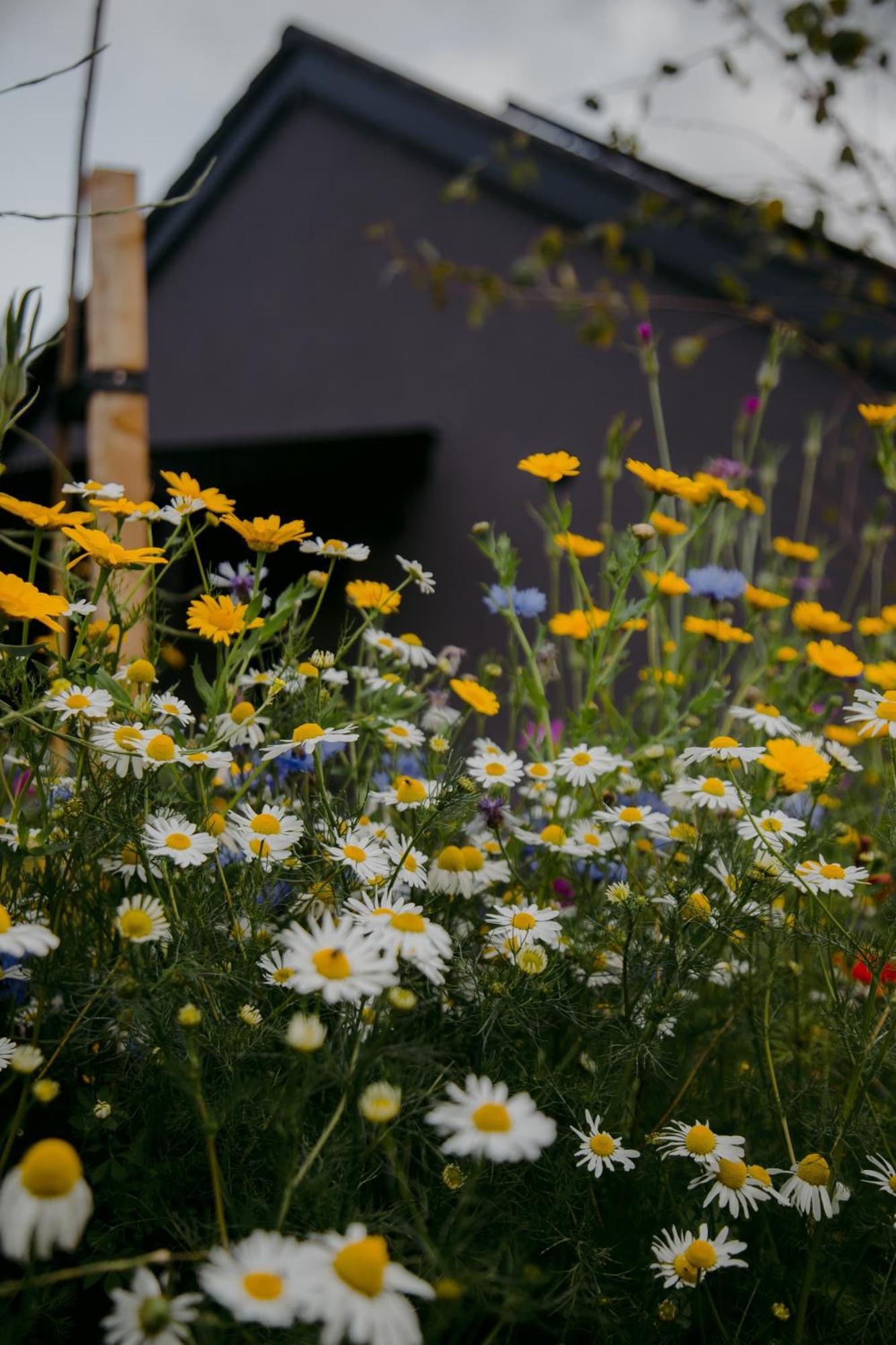 The Deerstone Luxury Eco Hideaway Villa Laragh Bagian luar foto