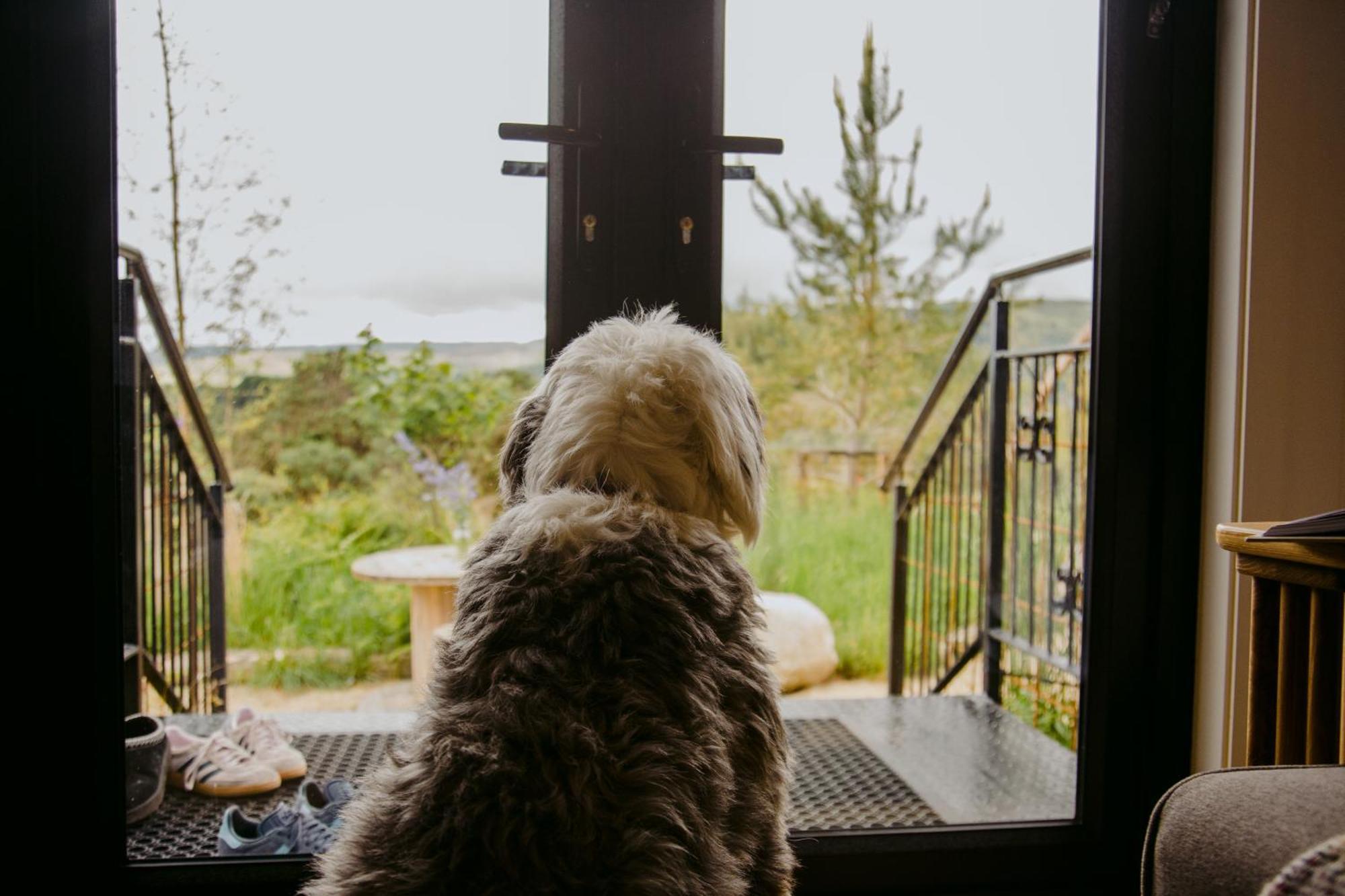 The Deerstone Luxury Eco Hideaway Villa Laragh Bagian luar foto